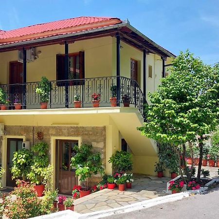 Отель Λευκή Καμέλια Anilio Pelion Экстерьер фото