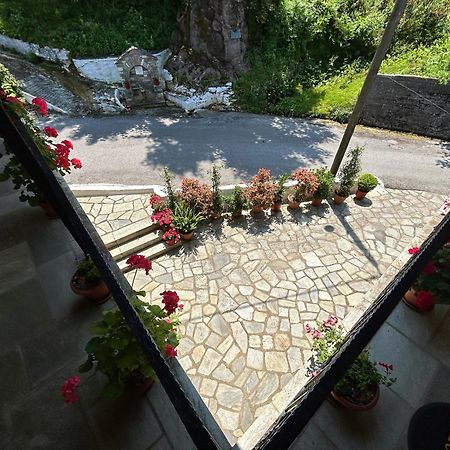 Отель Λευκή Καμέλια Anilio Pelion Экстерьер фото