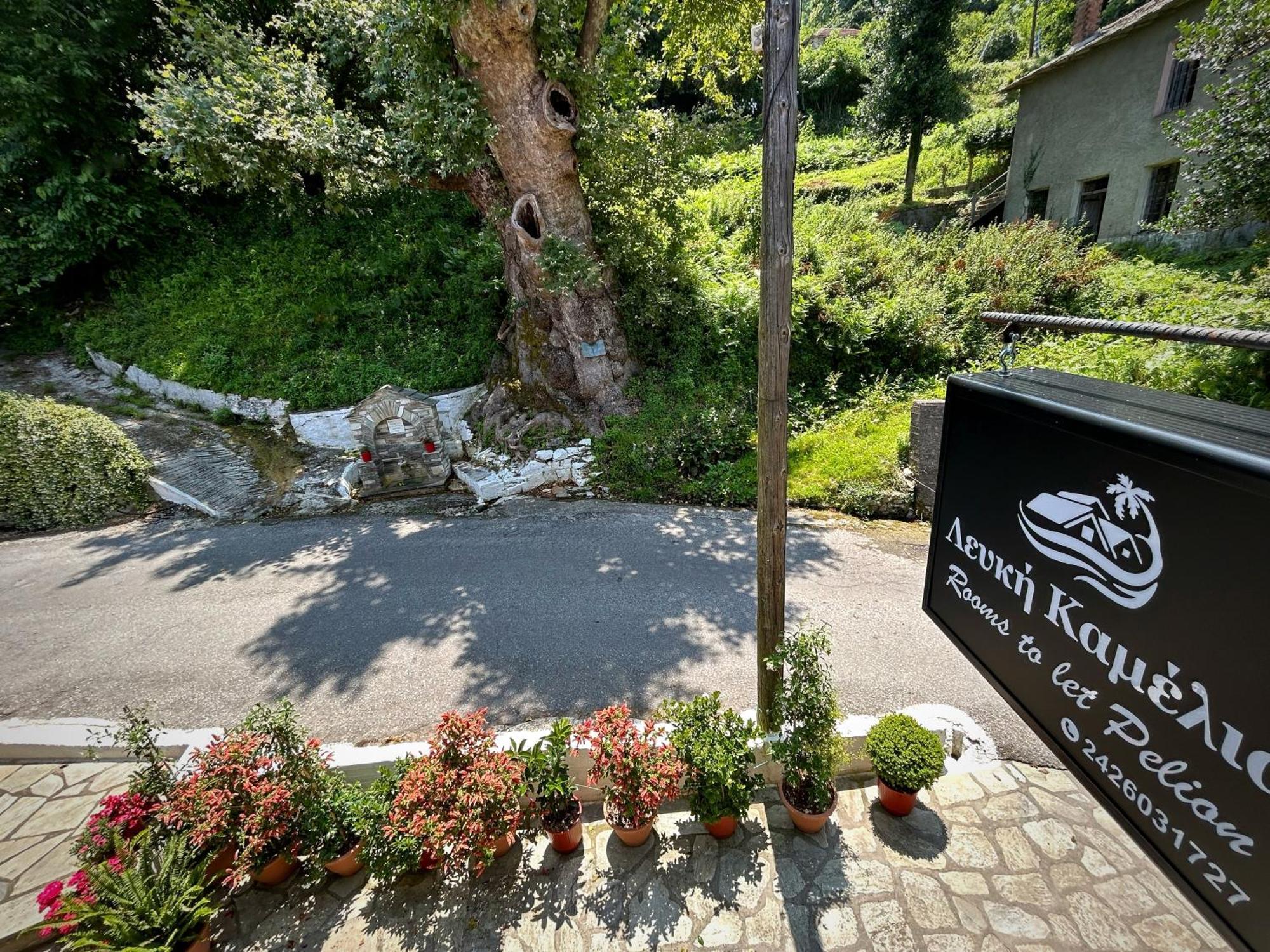Отель Λευκή Καμέλια Anilio Pelion Экстерьер фото