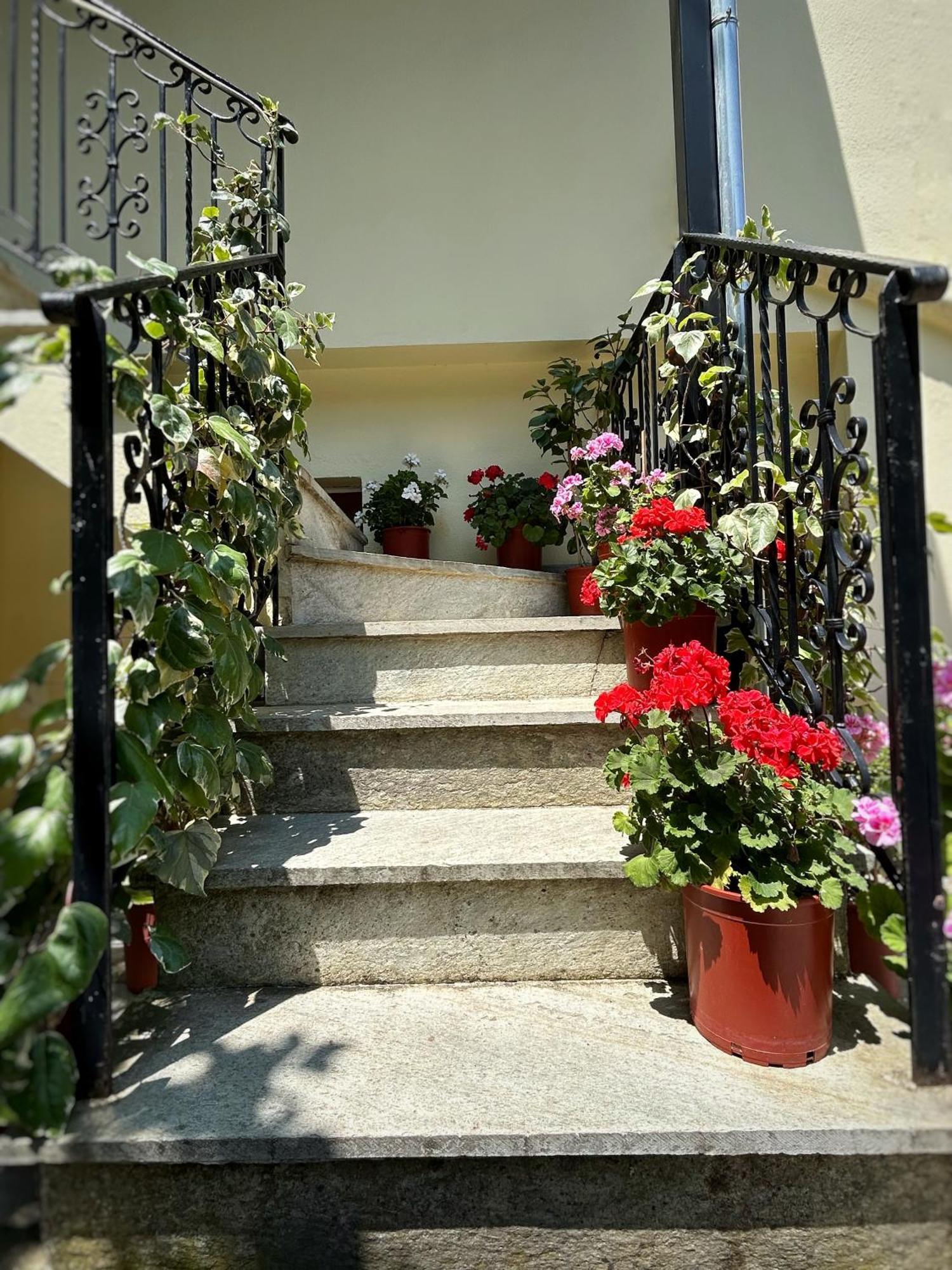 Отель Λευκή Καμέλια Anilio Pelion Экстерьер фото
