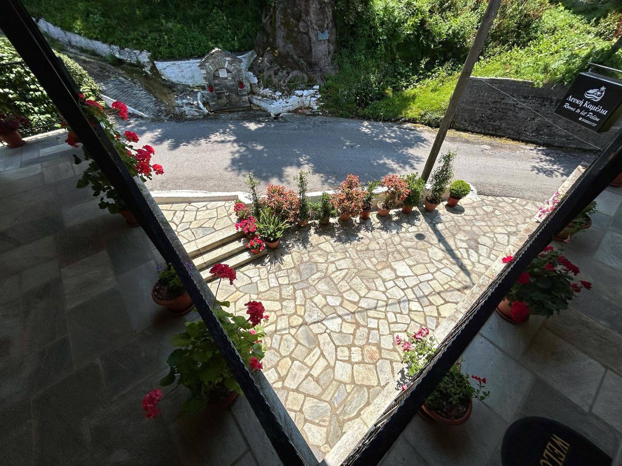 Отель Λευκή Καμέλια Anilio Pelion Экстерьер фото